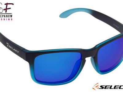 Okulary POLARYZACYJNE Select - CS11-BB-BR